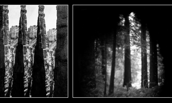 Sight Specific: Matthew Brown, Adam Donnelly + David Janesko