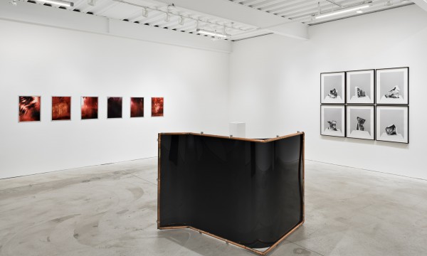 Option to the Death of Freedom