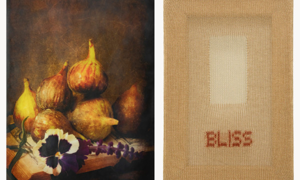 Artist Reception with Brigitte Carnochan