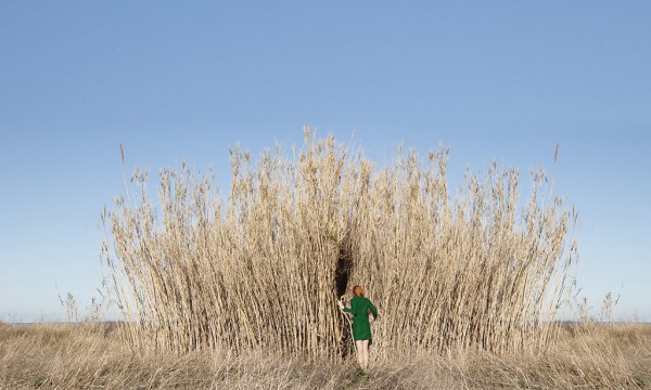 Play Time: Maia Flore