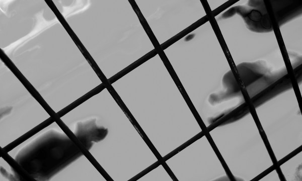 Bill Fontana: Sonic Visions