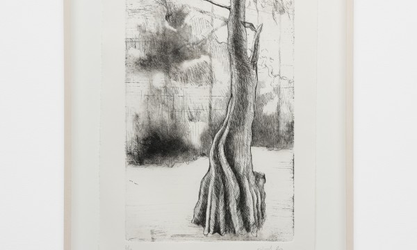 Beyond the Bodies' Edge