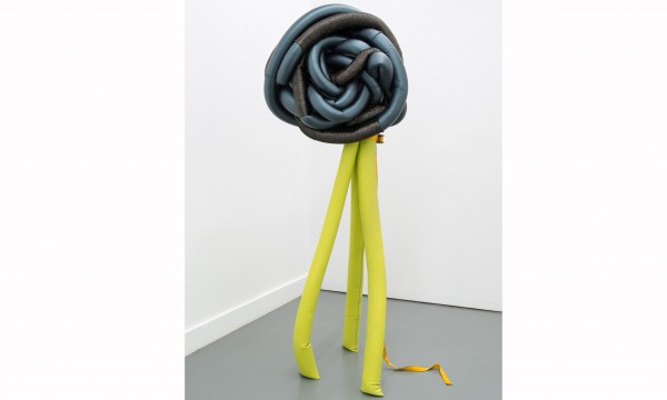 May Wilson: Skeptics and Nomads