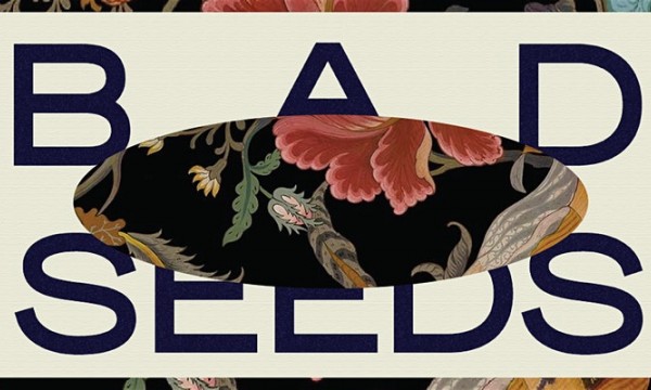 Bad Seeds by back pocket