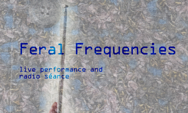 Feral Frequencies: live performance and radio séance