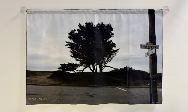 Cheryl Derricotte: A Consideration of Trees