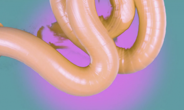 I Never Learned the Title of the Song I Always Sing