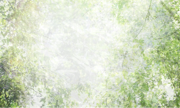 Christina Seely: terra systema . tempo