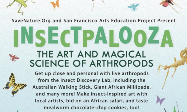 Insectpalooza: The Art and Magical Science of Arthropods