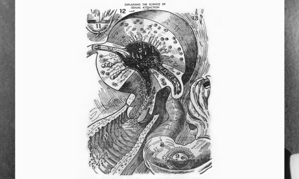 John Waters: The Worst of Waters