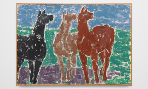 Stephen Pace | Black Horse/Brown Horse